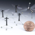immagine di RoboticInsectPhoto02 2