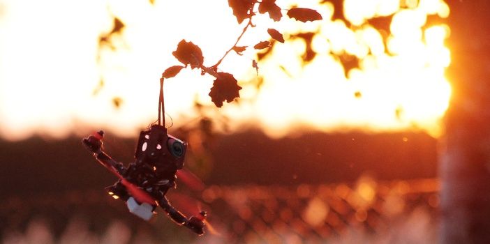 immagine di kimera 700