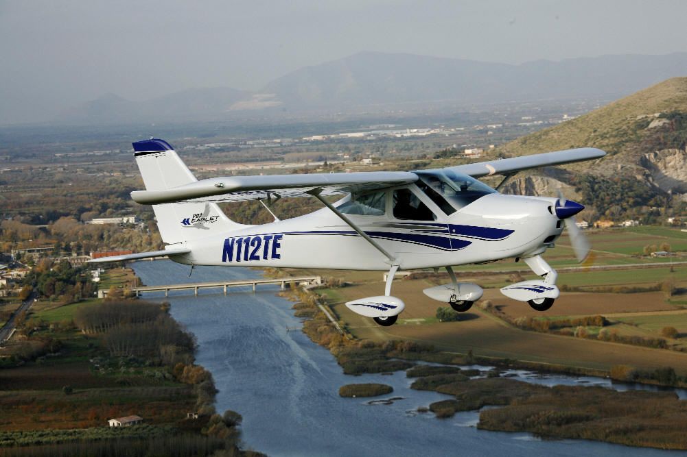 immagine di p92 eaglet flying