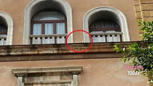 immagine di Drone elica 2