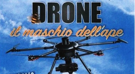 immagine di convegno drone maschio ape 700