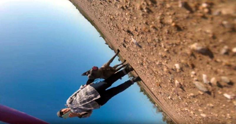 donna ruba un drone, ma la camera riprende tutto