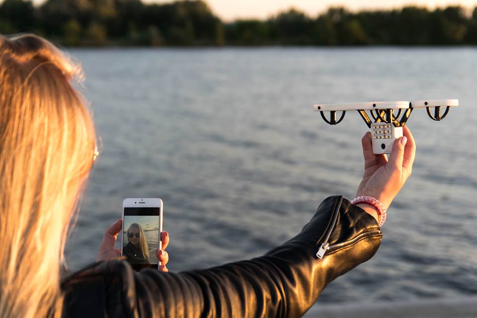 immagine di drofie 2