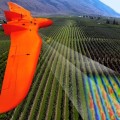immagine di drone agricoltura precisione