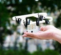 immagine di imgres 1