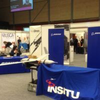 immagine di insitu 2