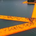 immagine di passerella di christo ripresa