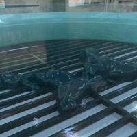 immagine di 35EFA03E00000578 3673469 image m 45 1467630163902