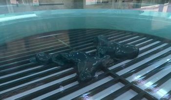 immagine di 35EFA03E00000578 3673469 image m 45 1467630163902