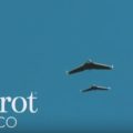 immagine di parrot disco