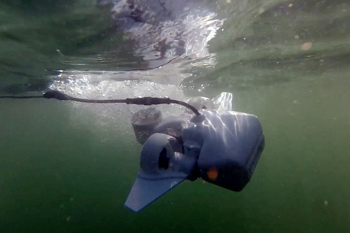 immagine di underwater action 720x480 c