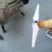 immagine di download 2