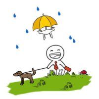 immagine di drone umbrella middleb