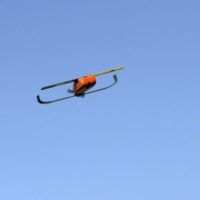 perdix-in-flight