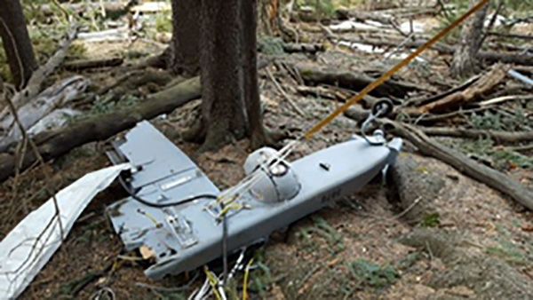 immagine di 589d0a486a3d3.image