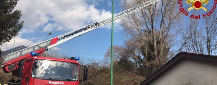 immagine di drone impigliato su albero salvao da vigili fuoco