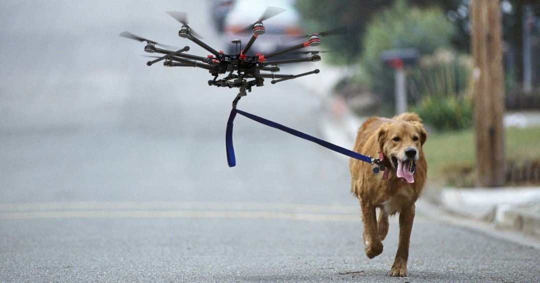 immagine di header drone wa 1459453890 2