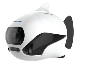 biki-pesce-robotico