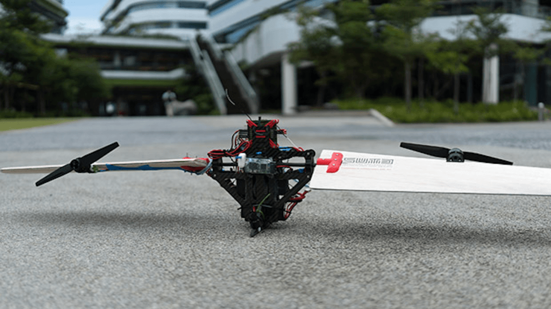 immagine di download