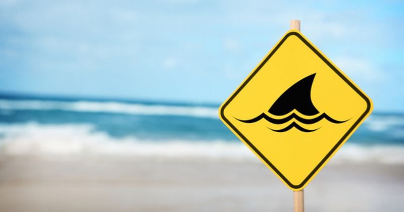 drone contro squali australia