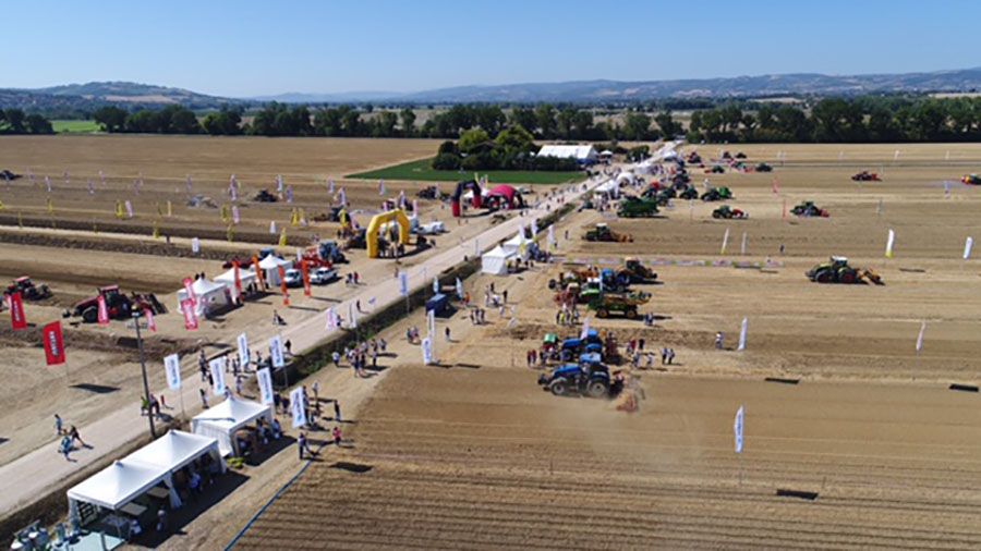 immagine di DJI 0276