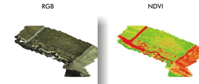 mappe-di-vifore-rgb-ndvi