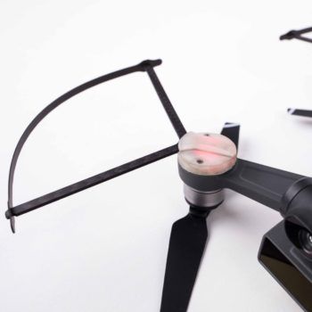 immagine di sparky2 13872785 8c7c 4726 b921 8b3b39017b68 1024x1024@2x1