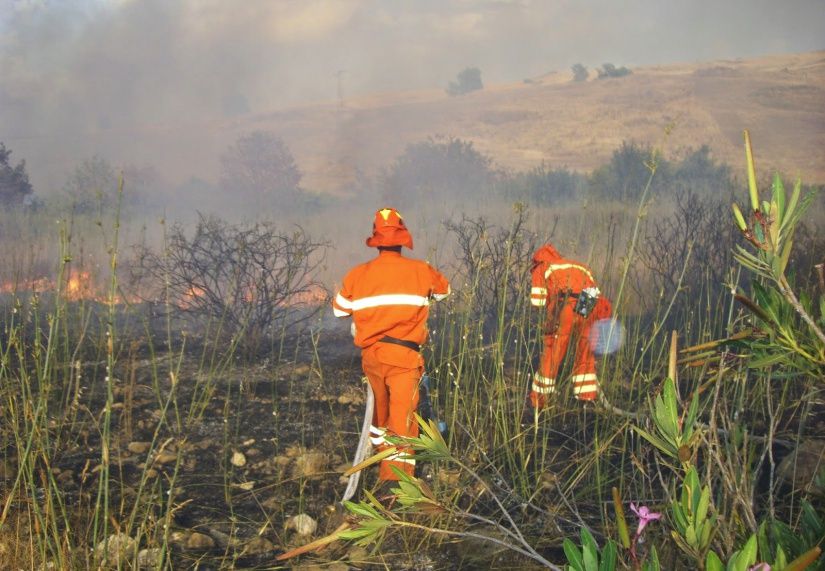immagine di vigili del fuoco in azione