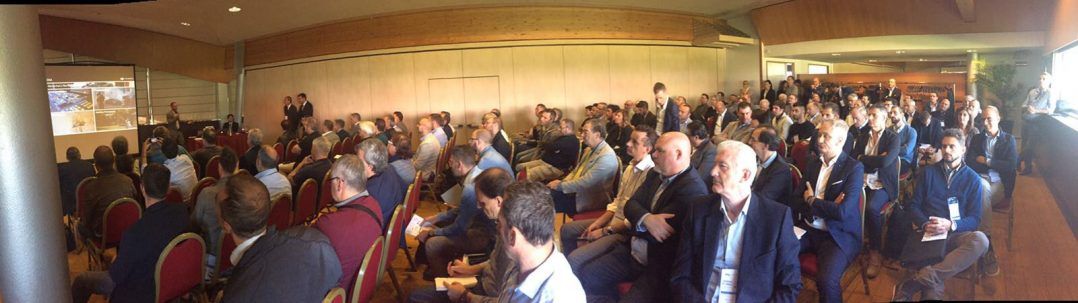 immagine di IMG 3507