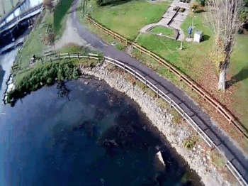 immagine di Schermata 2017 11 26 alle 12.46.30