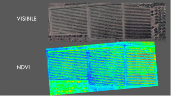 immagine di Schermata 2017 12 06 alle 18.50.30