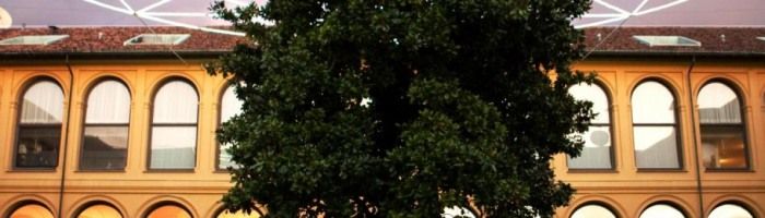 immagine di palazzo stellne milano