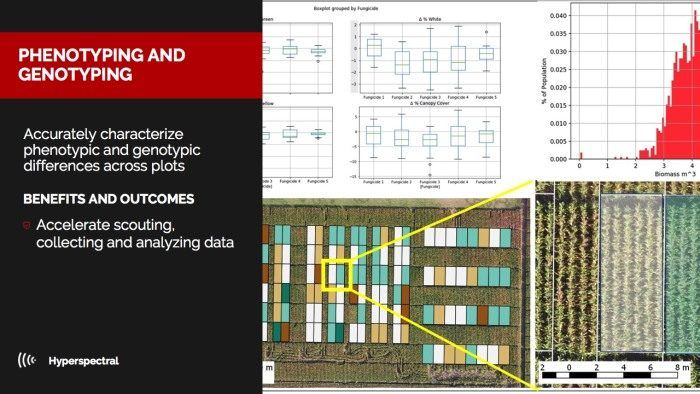 immagine di immagine hyper spettrale drone agricoltura genoma pianta