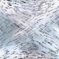 immagine di 2627 6525 milanradisics hungary open motionopencompetition 2018