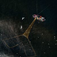 immagine di 2655 6553 andriuskundrotas lithuania open landscapenature2018opencompetition 2018