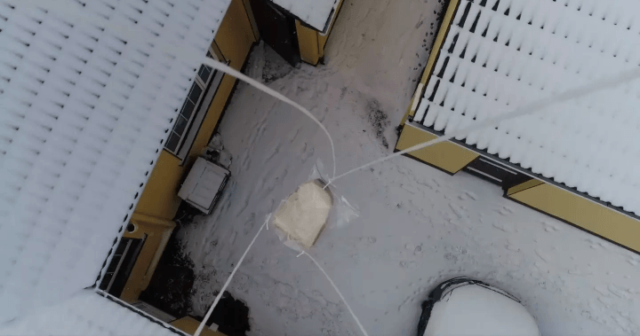 immagine di Schermata 2018 03 02 alle 14.44.33