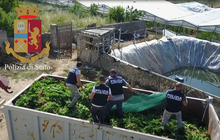 immagine di 025e2d0196ec899f9b7504ac756cc73c