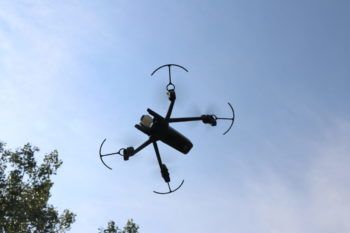 immagine di IMG 0339