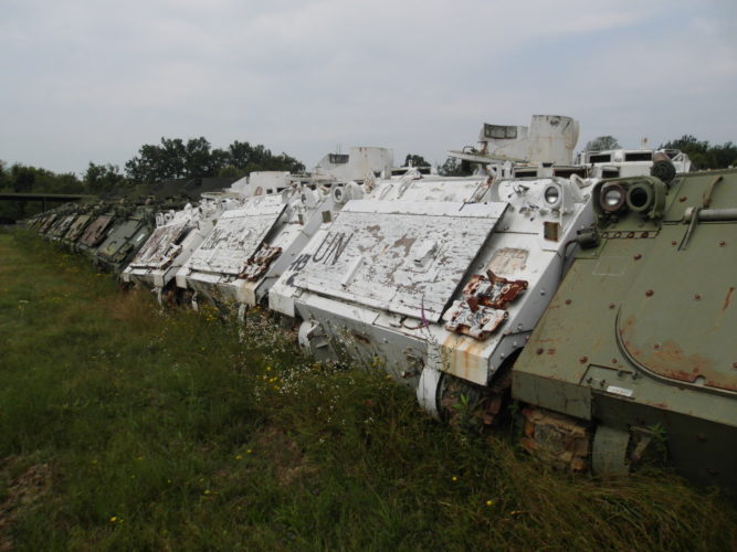 immagine di SAM 5528