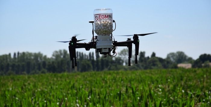 immagine di drone combatte piralide del mais emg96