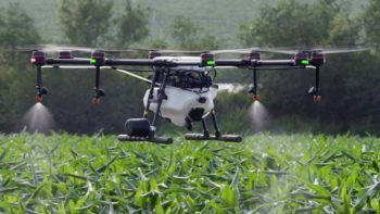 immagine di top agricultural crop spraying d