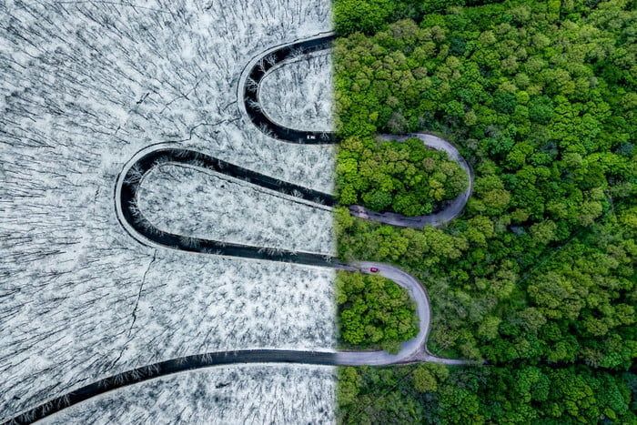 immagine di weather snake 700x467 c