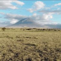 immagine di cxJGfCDQ