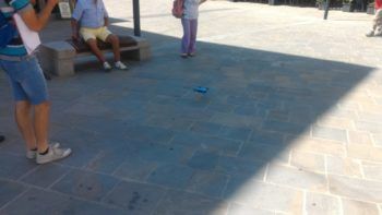 immagine di P 20180726 113813