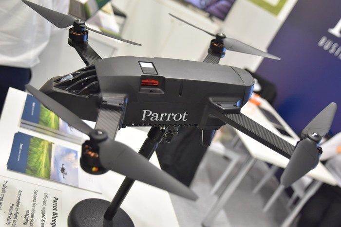 immagine di DSC 2713 parrot blue grass