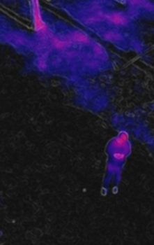 immagine di persone scomparse drone dji mavic 2 enterprise dual