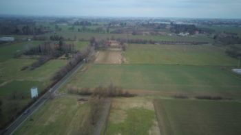 immagine di 20190203 151520 0005