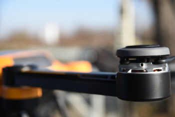 immagine di DSC 5003