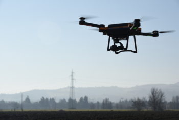 immagine di DSC 5055