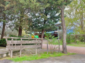 immagine di 66265d31 56b7 4b7b bf2b 0d0a160ea648